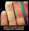 hij is leuk, foto 480x504, 1 reacties, 3 stemmen