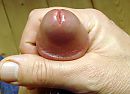 hij wil meer.., foto 1809x1313, 2 reacties, 13 stemmen