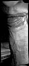 hij...., foto 458x1040, 2 reacties, 21 stemmen