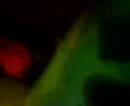 ik, film 00:00:07, 9 reacties, 21 stemmen