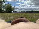 in de zon, foto 2592x1944, 2 reacties, 7 stemmen