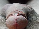 in rust, foto 4000x3000, 0 reacties, 0 stemmen