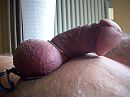 just chillen, foto 480x360, 2 reacties, 6 stemmen