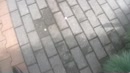 kale kut in tuincentrum, film 00:00:00, 7 reacties, 39 stemmen