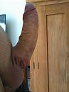 keihard, foto 1944x2592, 1 reacties, 2 stemmen