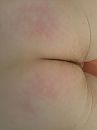 kontje, foto 480x640, 2 reacties, 4 stemmen