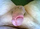 lat, foto 640x480, 10 reacties, 33 stemmen