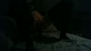 lekker wippen, film 00:00:00, 8 reacties, 14 stemmen