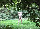 lekker buiten, foto 4000x3000, 2 reacties, 10 stemmen