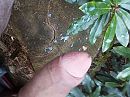 lekker de boel onder gespoten, foto 3264x2448, 1 reacties, 5 stemmen