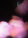 lekker dik, foto 2448x3264, 1 reacties, 4 stemmen