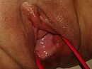lekker open, foto 1571x1183, 0 reacties, 14 stemmen