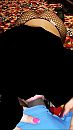 lekker pijpen, foto 768x1366, 7 reacties, 74 stemmen
