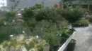 lekkere geile tieten heeft ze, film 00:00:00, 4 reacties, 29 stemmen