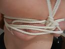 lessen, foto 448x336, 2 reacties, 7 stemmen