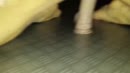 m /stel lees aangepast profiel, film 00:00:00, 31 reacties, 236 stemmen