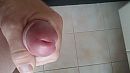 me eikel, foto 4000x2250, 0 reacties, 4 stemmen