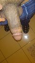 me, foto 2250x4000, 0 reacties, 0 stemmen