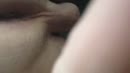 melken, film 00:00:00, 3 reacties, 7 stemmen