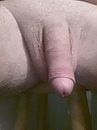 mmm, foto 600x800, 2 reacties, 3 stemmen