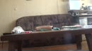 mmmmmmmmmmmmmmmmm, film 00:00:00, 6 reacties, 7 stemmen