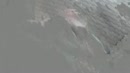 mond vol sperma, film 00:00:00, 14 reacties, 57 stemmen