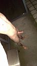 naakt in bushokje :$, foto 1520x2688, 2 reacties, 6 stemmen