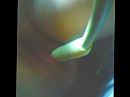 nog eens, foto 320x240, 0 reacties, 9 stemmen