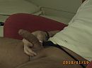 ny cock, foto 3744x2808, 0 reacties, 2 stemmen