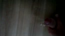 ochtendgeil, film 00:00:20, 9 reacties, 24 stemmen