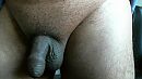 ongeschoren, foto 640x360, 0 reacties, 9 stemmen