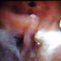 oudje, foto 120x120, 0 reacties, 0 stemmen
