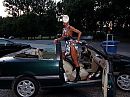 parkingfun2, foto 3840x2880, 4 reacties, 19 stemmen
