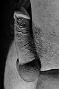 pik, foto 2661x4000, 0 reacties, 2 stemmen