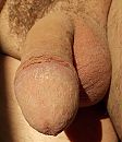 pik, foto 2312x2677, 0 reacties, 1 stemmen