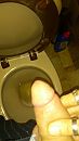 pis pik, foto 2250x4000, 0 reacties, 0 stemmen