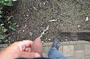 plasje, foto 500x332, 0 reacties, 0 stemmen