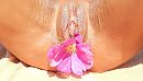 prachtige bloem, foto 640x368, 2 reacties, 14 stemmen