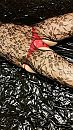 samen, foto 2250x4000, 3 reacties, 24 stemmen