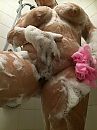 schuimmmmmm, foto 2448x3264, 30 reacties, 126 stemmen