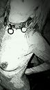 serving, foto 1080x1920, 0 reacties, 5 stemmen