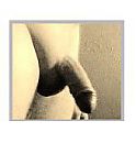 showing, foto 163x170, 0 reacties, 0 stemmen