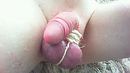 strak...., foto 1280x720, 2 reacties, 7 stemmen