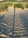 strand 02/10/2015, foto 2448x3264, 2 reacties, 5 stemmen