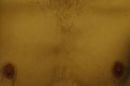 torso, foto 3264x2176, 2 reacties, 2 stemmen