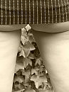 upskirt!, foto 3000x4000, 2 reacties, 48 stemmen