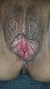 van heel dichtbij, foto 2250x4000, 13 reacties, 60 stemmen