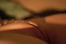 vers geschoren 2, foto 3888x2592, 4 reacties, 45 stemmen