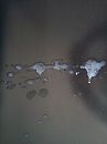 verspilling, foto 1536x2048, 3 reacties, 8 stemmen