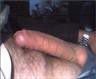 voor dames of stellen, foto 96x79, 2 reacties, 15 stemmen